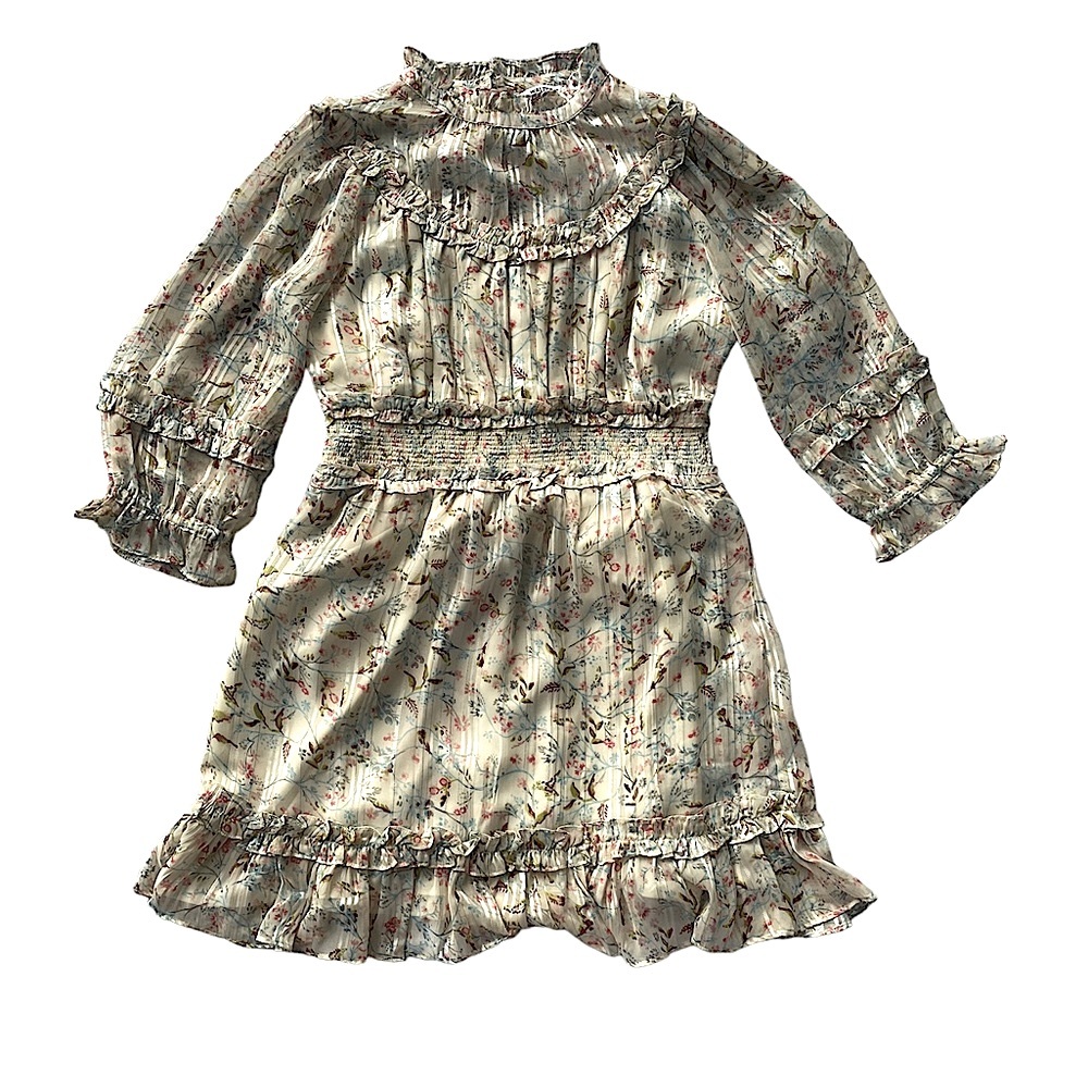 Walter Baker Betsy Dress size M